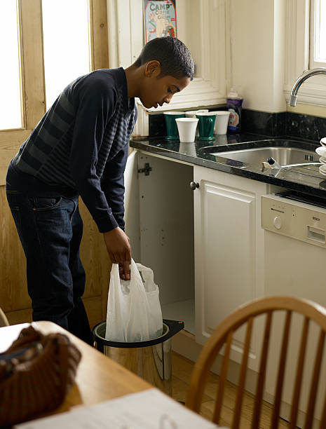 Best Basement Cleanout Services  in Tton, IL